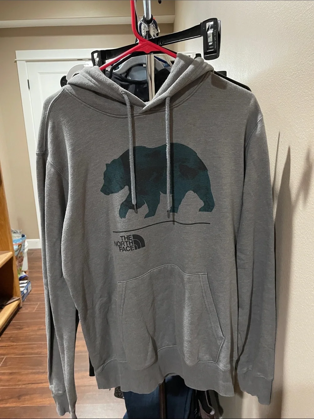 The North Face Gray Hoodie with Dark Teal Bear Graphic